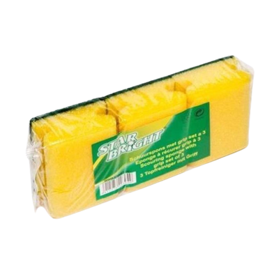 SCHUURSPONS 9*7*4,5CM 3ST