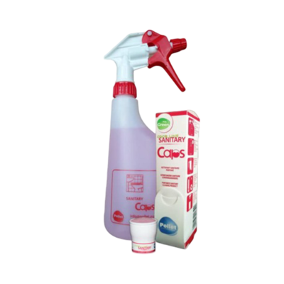 SPROEIFLACON CAPS SANITAIR 650ML