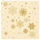 DUNI SERVIETTE DE TABLE STARGAZING CREAM 40*40CM 250PCS